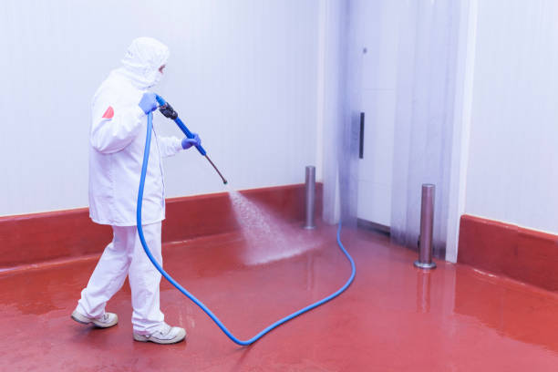 Best Driveway Pressure Washing  in Greenhills, OH